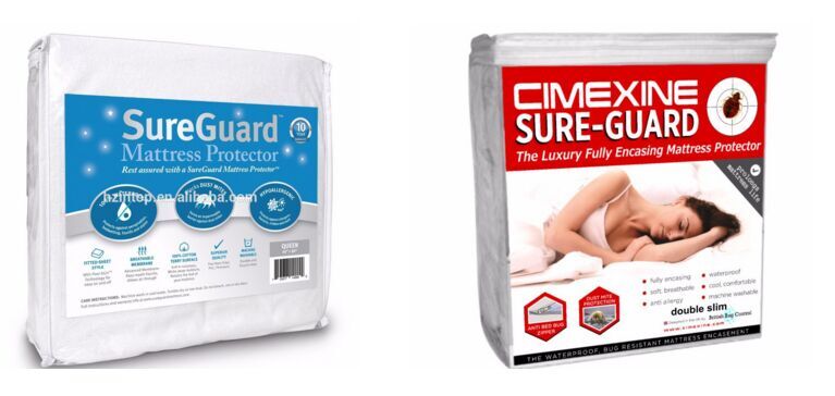 Queen Size Bed Bug Proof Zippered Mattress Cover