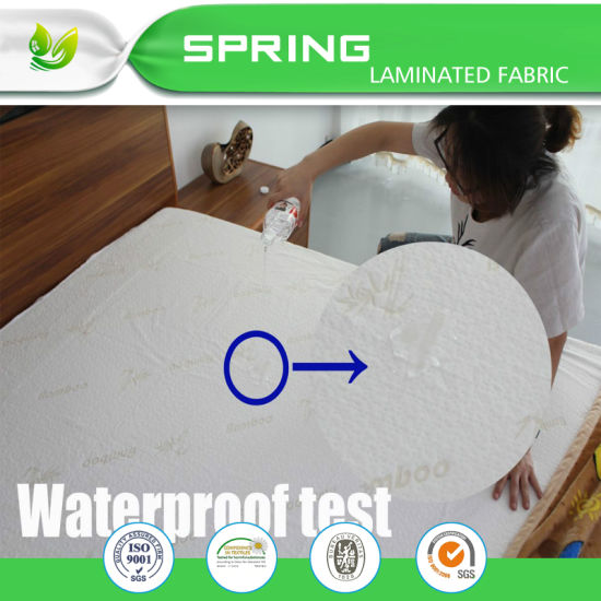 Soft & Noiselless Cotton Terry-Fitted Style Mattress Protector