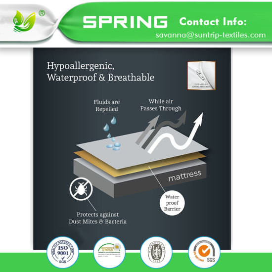 Waterproof Cover Dust Mite Free Queen Size Bed Mattress Protector Buy