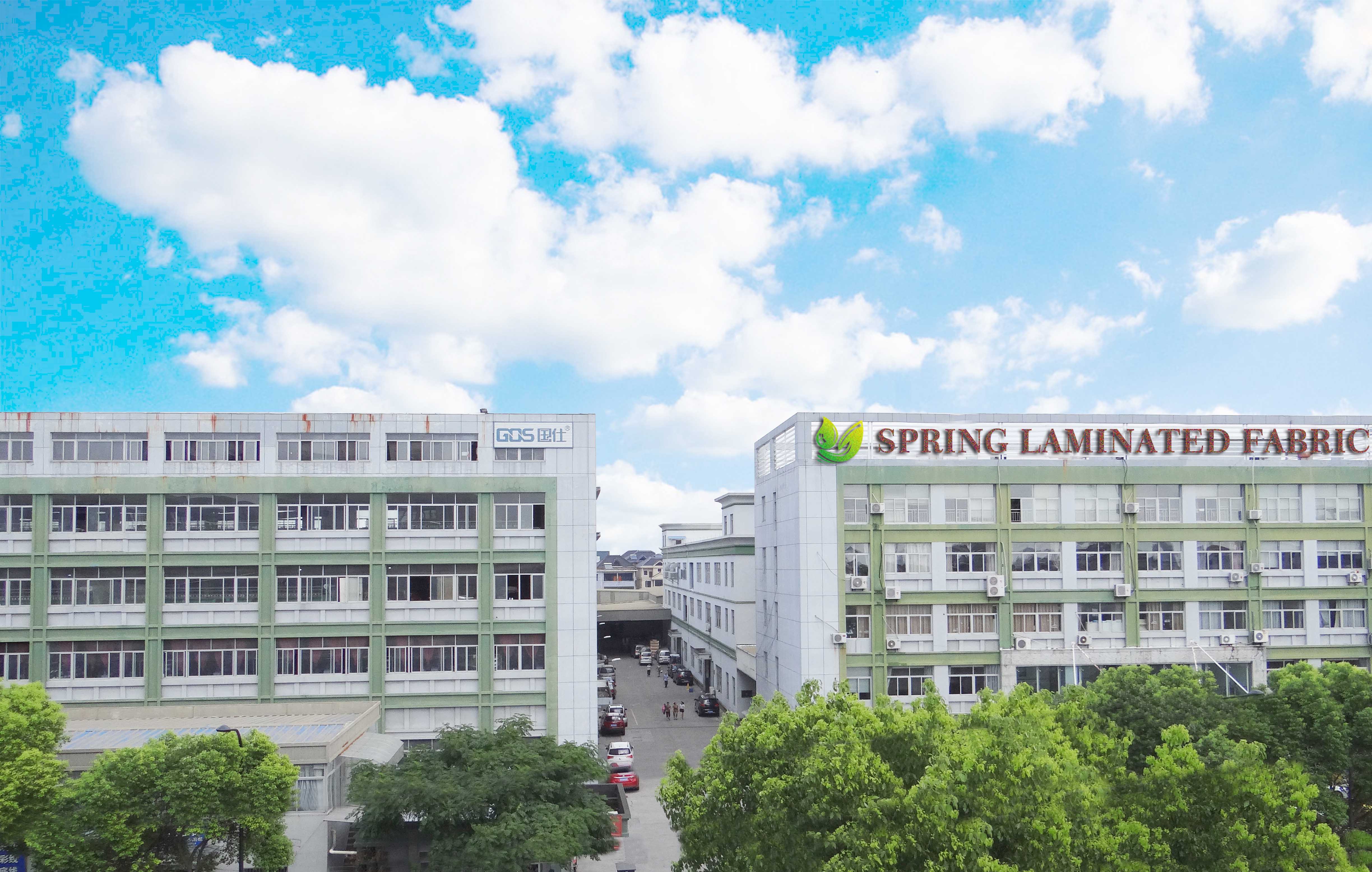 Safe and Sound Mattress Protector Cotton Terry Surface, Hypoallergenic, Waterproof, Dust Mite Proof Mattress Cover Queen Size