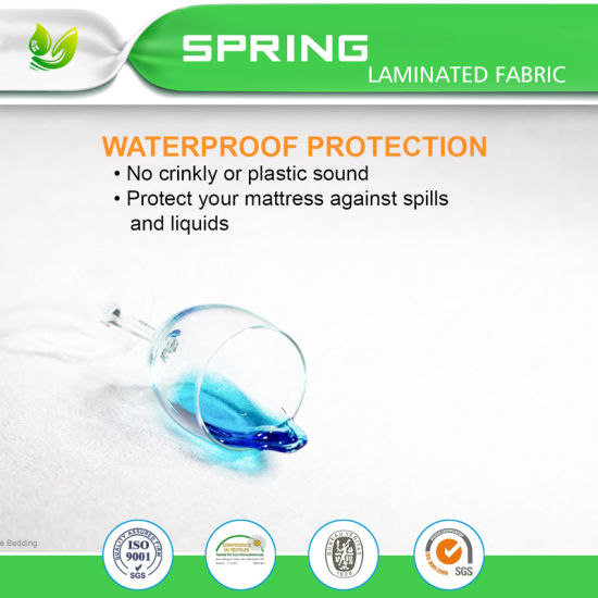 Silver Clear Anti-Bacterial, Microbial Waterproof Mattress Protector for Home