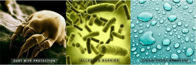 Hypoallergenic Waterproof Zippered Mattress Encasement