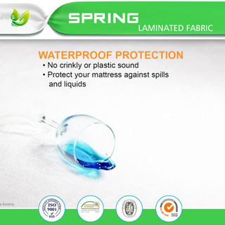 Waterproof and Bed Bug Proof Mattress Encasement - 60-Inch by 80-Inch, Queen