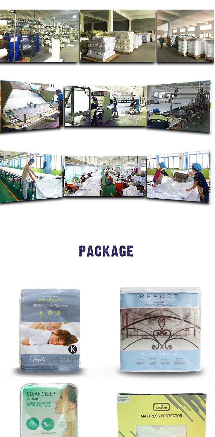 Queen Mattress Protector Bedbug Waterproof Zippered Encasement